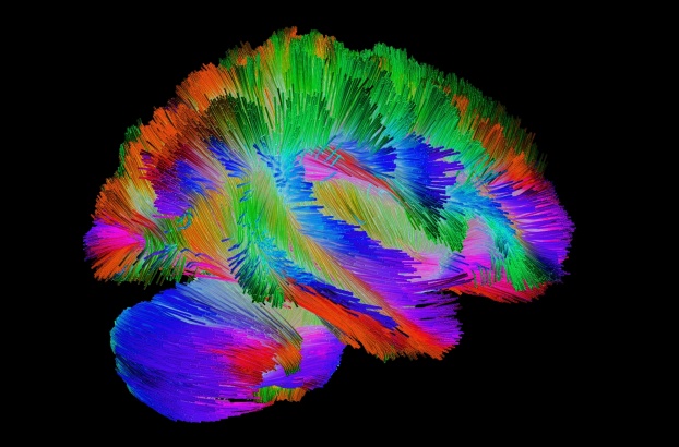 Join a vibrant community of neuroscience professionals in a special area of interest
