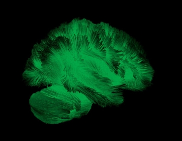 Neurodevelopmental and Pediatric Neuropsychiatry