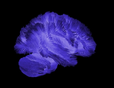 Neuromodulation